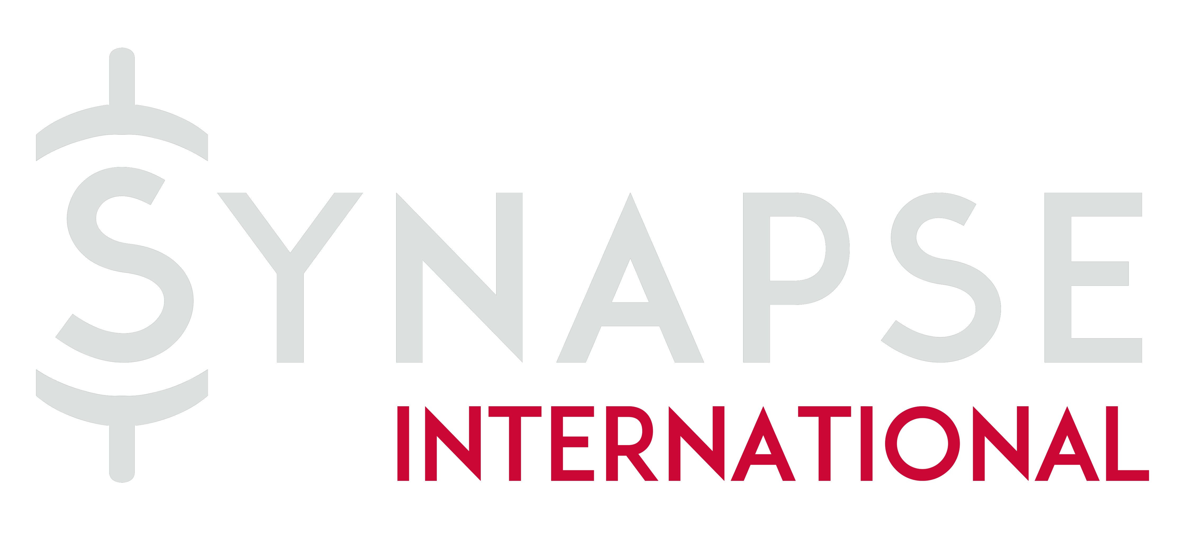Synapse International Synapse International